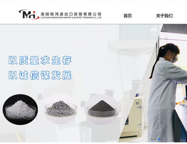 外貿(mào)網(wǎng)站案例-中英雙語(yǔ)